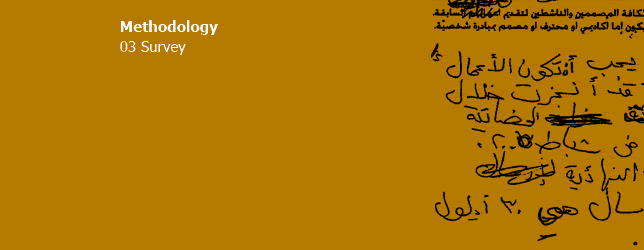 3 SURVEY
